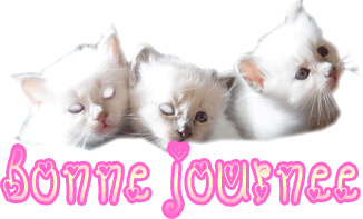 m.p le torrent qui passe et qui continue sans s'arreter arreter le si vous pouvez mais je crois que non essaye comeme hehee